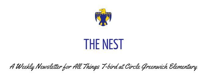 The Nest Newsletter 1st Edition